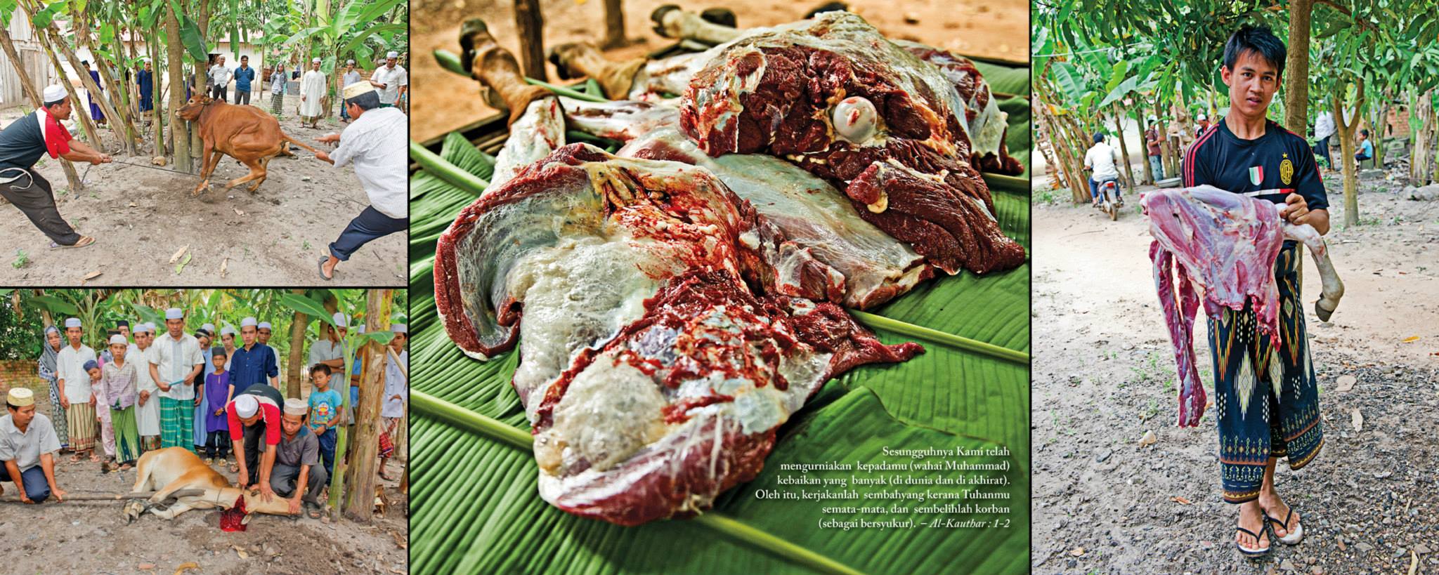 suasana eidul adha di kemboja