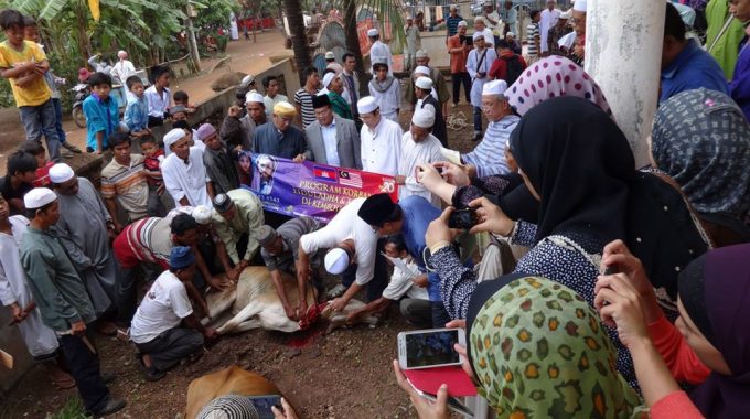 Ibadah Korban: Panduan Lengkap (Info Dan Pelaksanaan)