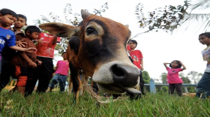 Hari Raya Haji