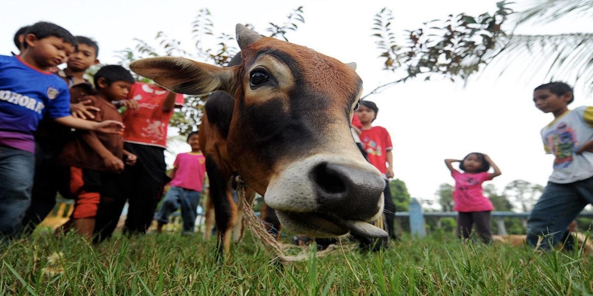 hari raya haji